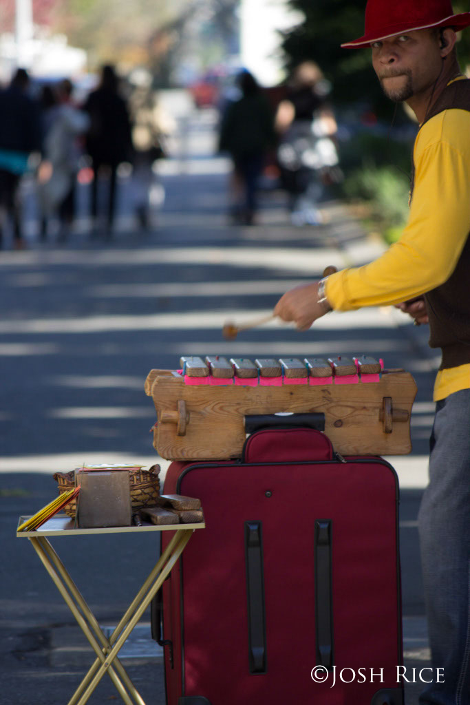 Seattle Marimba Player